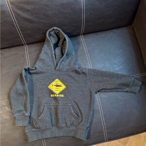 Gray Kids Hoodie